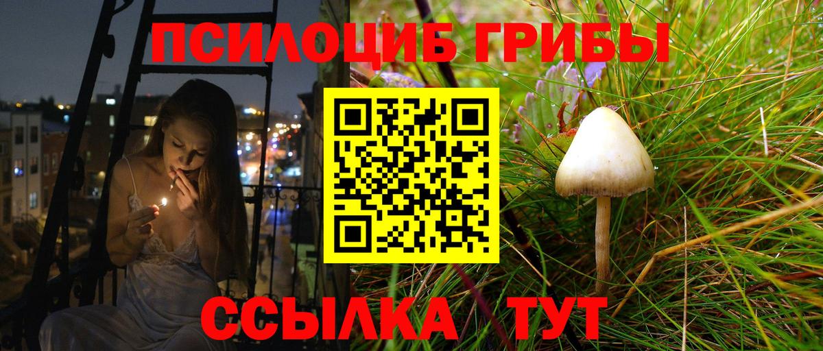 Галлюциногенные грибы MAGIC MUSHROOMS  Вход с VPN  Симферополь  Галлюциногенные грибы прущие грибы 